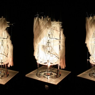 Robotic Ecologies