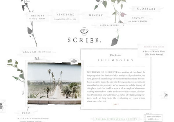 winery-webdesign-12