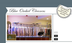 Blue Orchid Cleaners